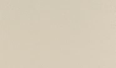 Preferred coloured fine structure matt